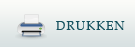 Drukken2